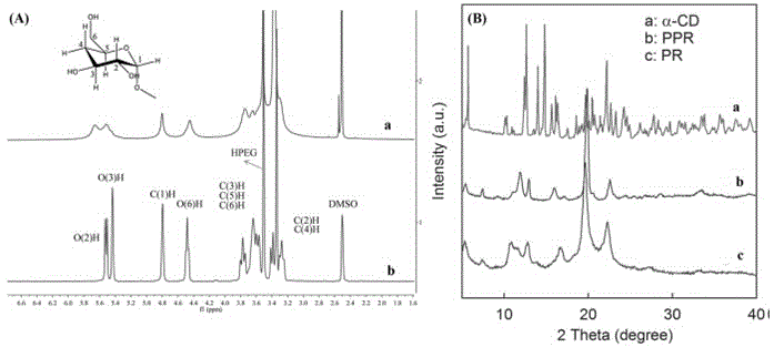 卟啉封端的纳米级荧光聚轮烷及其制备方法和应用与流程