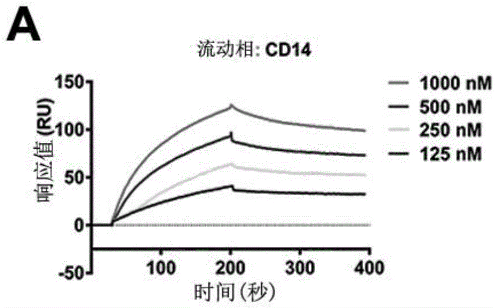 转铁蛋白在制备免疫抑制剂类药物中的应用的制作方法