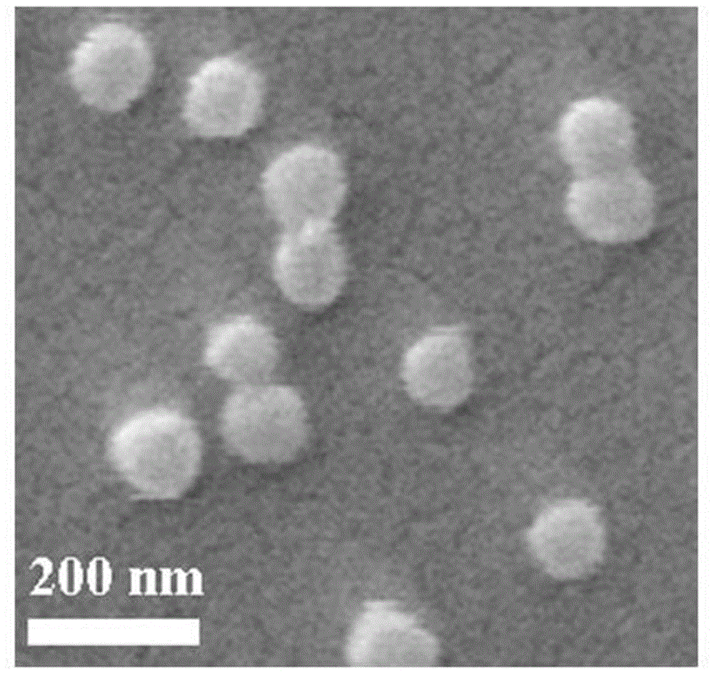 人血清白蛋白-人参皂苷-紫杉醇纳米粒及其制备和应用的制作方法