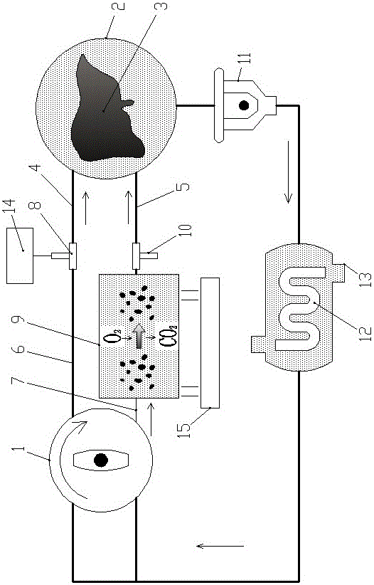 常温低压常氧肝脏灌注系统的制作方法