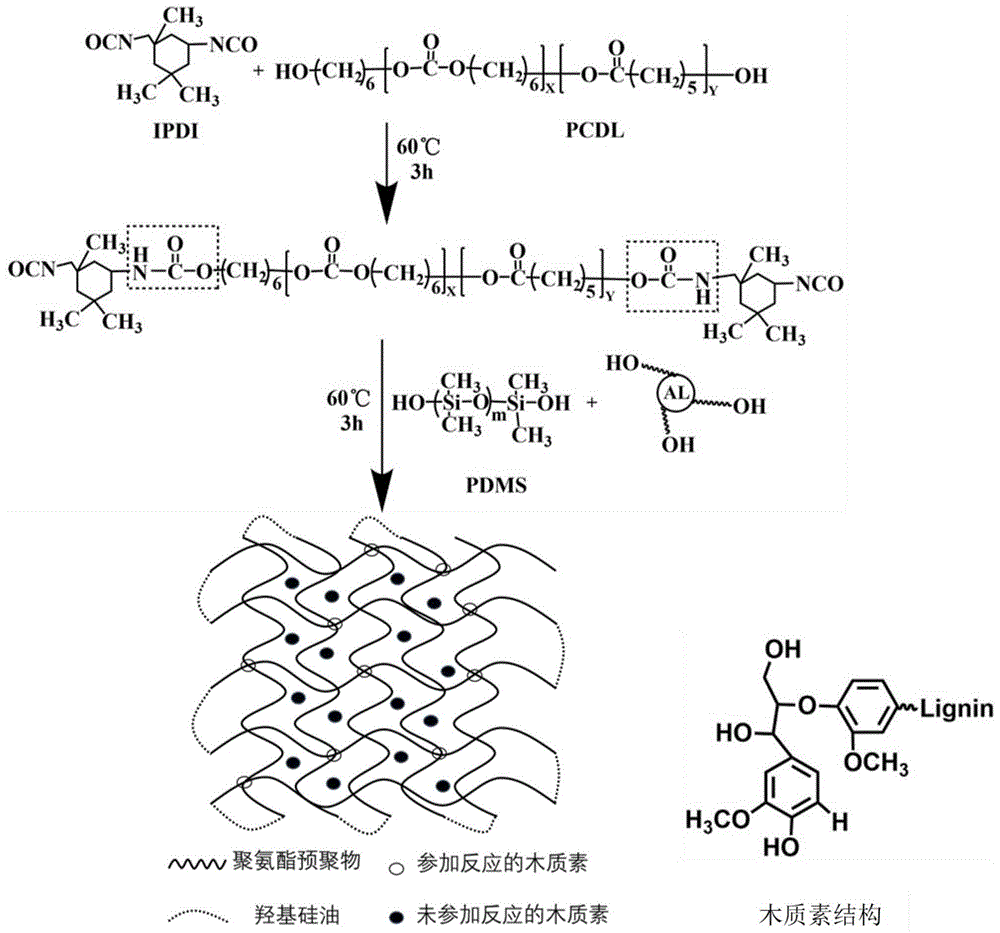 一种聚硅氧烷基的聚氨酯/木质素弹性体及其制备方法与应用与流程