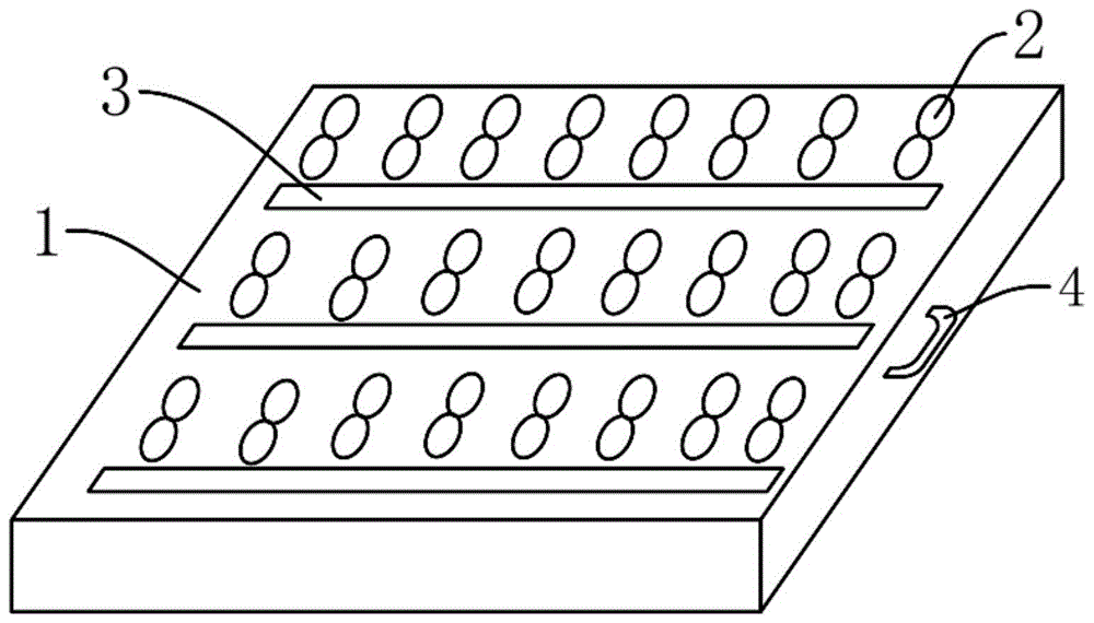 一种改良式大小便标本架的制作方法