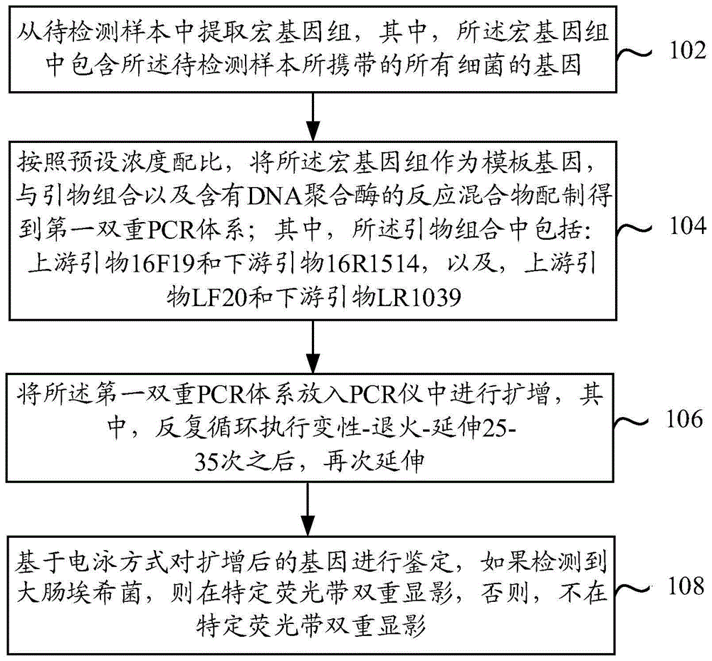 一种检测大肠埃希菌的方法及试剂盒与流程