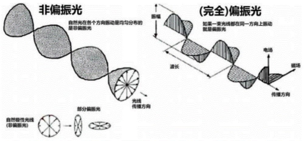 背景技术:非偏振光即为自然光在所有方向是均匀分布或传输的,光线在同