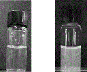 一种荧光金纳米团簇-聚合物空心微球及其制备方法与流程
