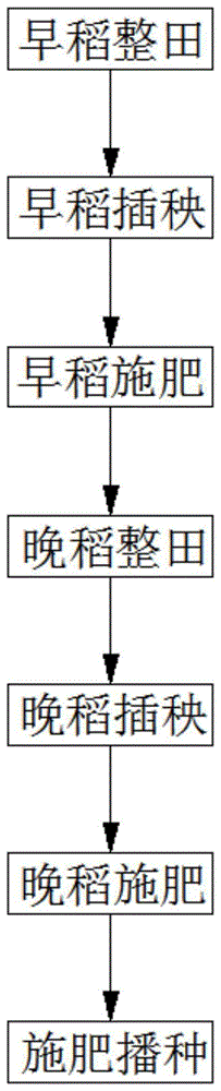 一种双季稻肥田萝卜种植模式周年施肥方法与流程