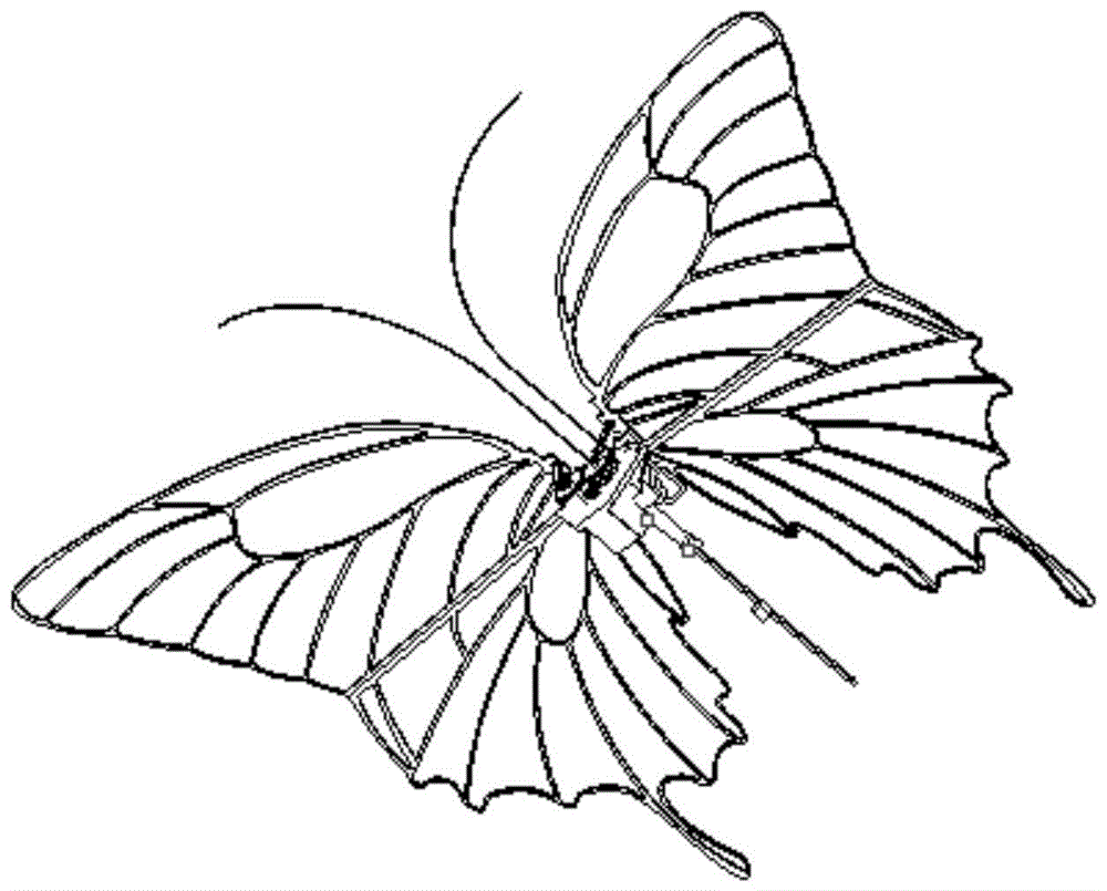 一种仿生蝴蝶扑翼飞行器的制作方法