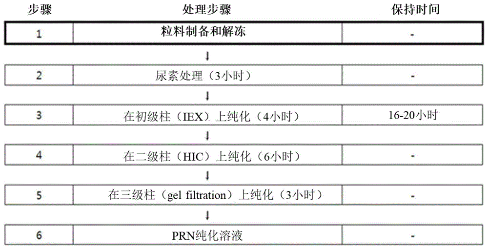 包括冷冻和解冻过程的获得百日咳杆菌来源的蛋白质的方法与流程