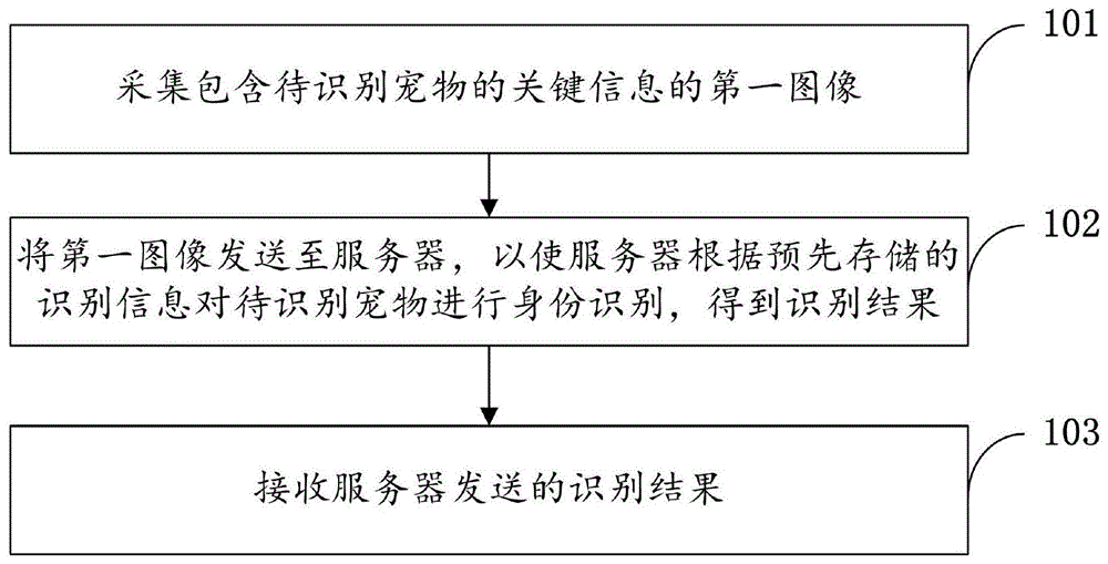 一种基于图像识别的宠物身份识别方法和装置与流程