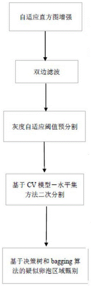 基于水平集图像分割的卵泡超声处理方法和系统与流程