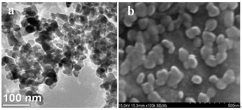 一种壳聚糖改性的纳米TiO2光催化超滤膜的制备方法与流程