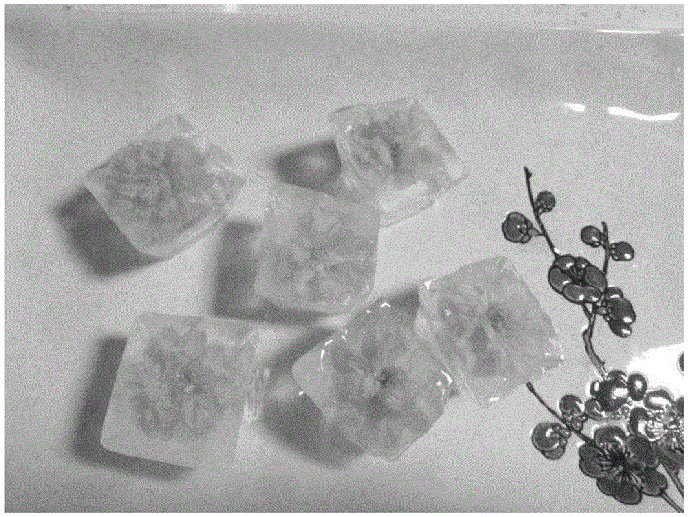 一种食用鲜花冰的制备方法与流程