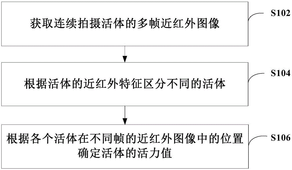 活体检测方法、装置、系统和计算机可读存储介质与流程