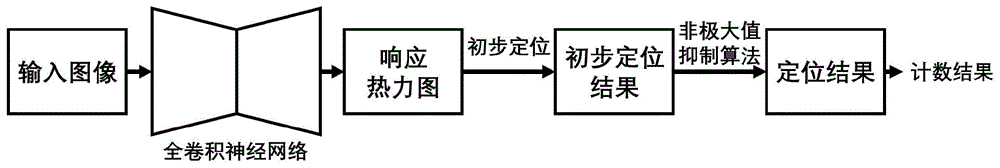 一种基于神经网络模型的微小型害虫计数方法与流程