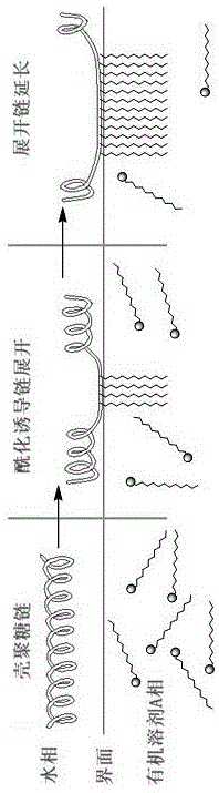 一种核酸跨膜运输载体及其制备方法与流程