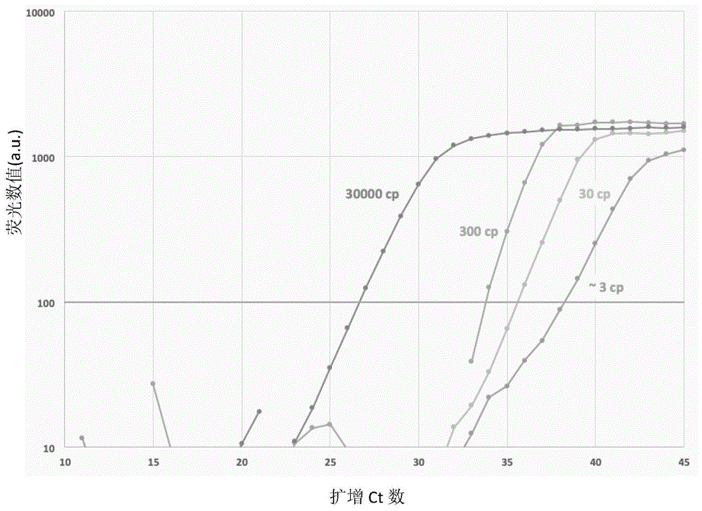 新型冠状病毒多重PCR快速检测试剂盒的制作方法