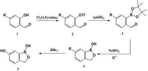 一种苯硼酸半酯的制备方法与流程