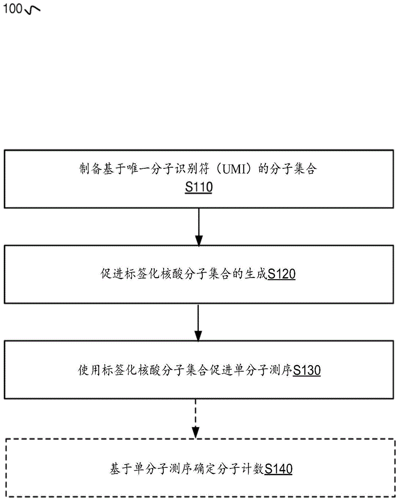 单分子测序和唯一分子标识符以表征核酸序列的制作方法