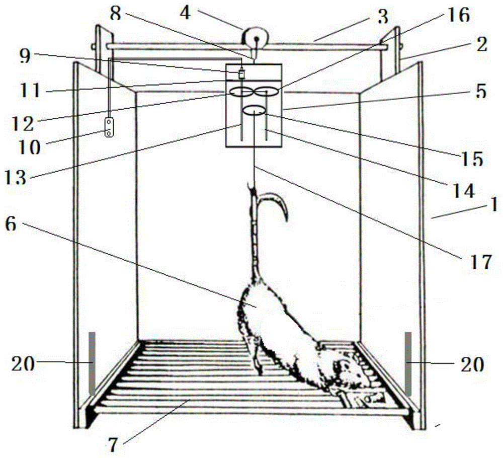 一种尾部悬吊大鼠的悬吊角度检测与控制装置的制作方法