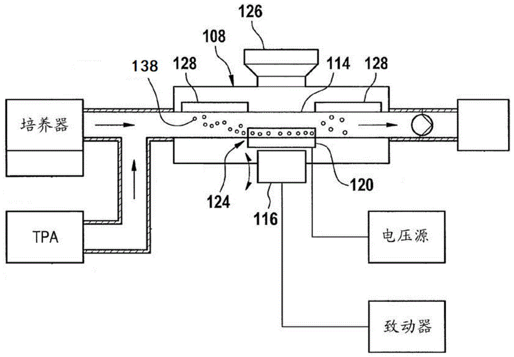 用于电化学发光检测的方法和装置与流程