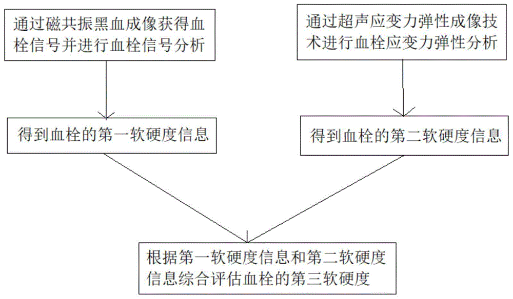 一种在体血栓软硬度检测的方法及其系统与流程