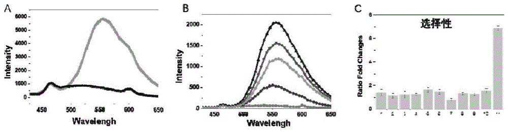 一种定位线粒体检测羟基自由基的双光子比率型探针的合成方法与应用与流程