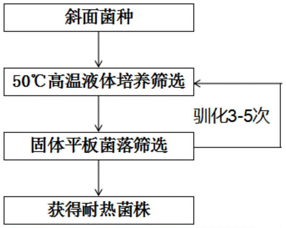 本发明属于益生菌发酵技术领域,涉及一种耐高温粪肠球菌的筛选与驯化