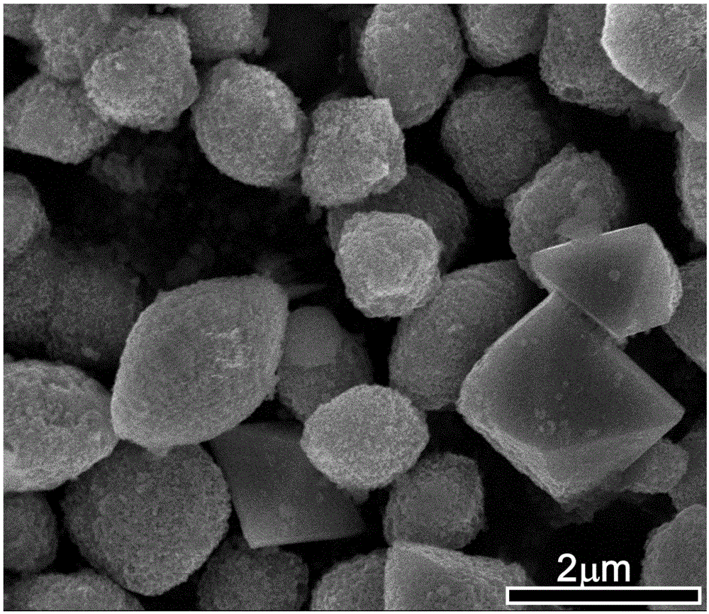 大尺寸中孔单晶金红石二氧化钛可控生长的制备方法与流程