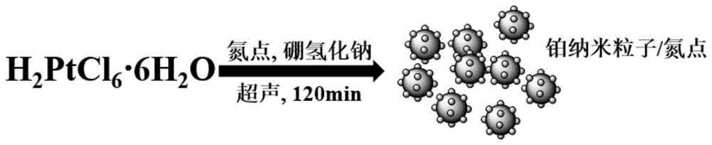 一种铂纳米粒子/氮点纳米酶及其制备方法和应用与流程