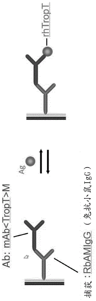 关于抗体的复制保护的制作方法