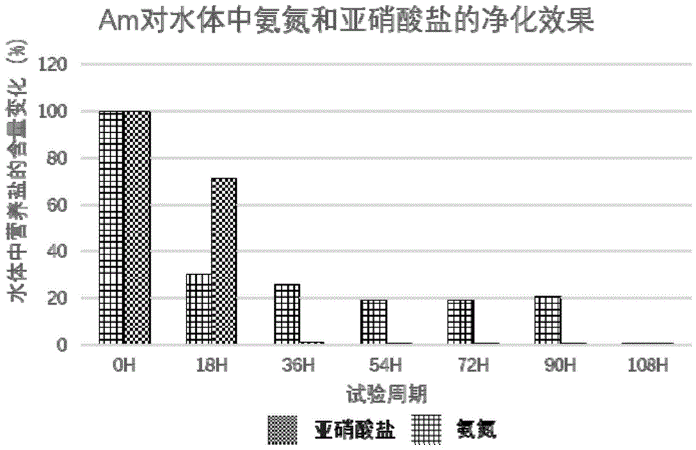 一种高效净化和利用水产养殖尾水的方法与流程