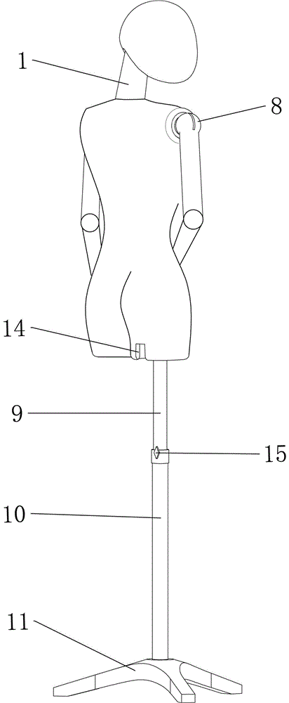 一种用于展示的人体模特的制作方法