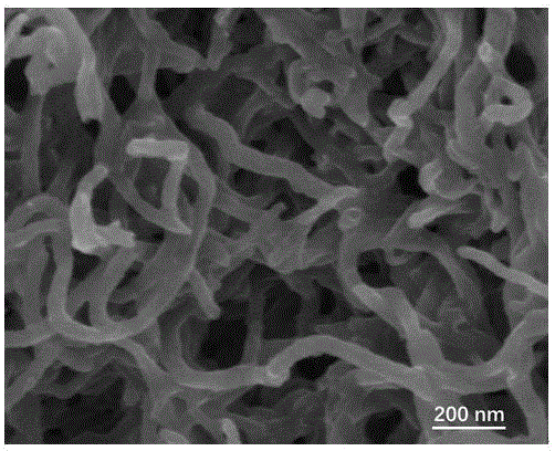 一种掺氮碳纳米管材料的制作方法