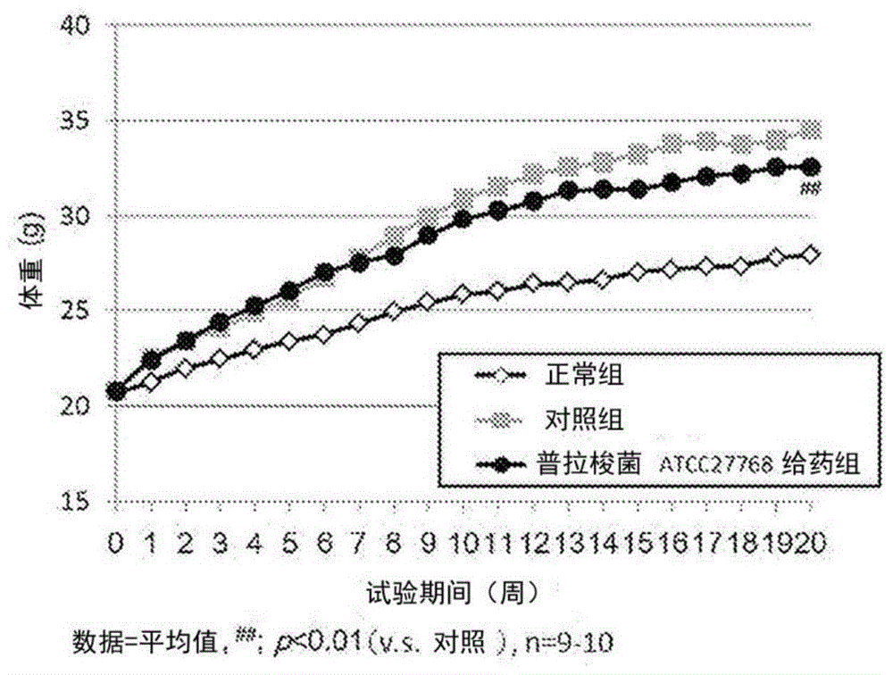 脂肪相关疾病和/或炎症的预防或治疗剂的制作方法