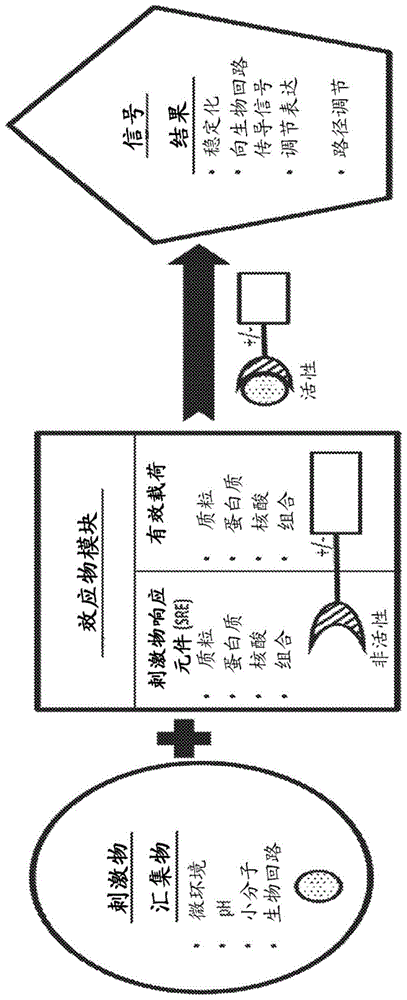 用于免疫疗法的PDE5组合物和方法与流程