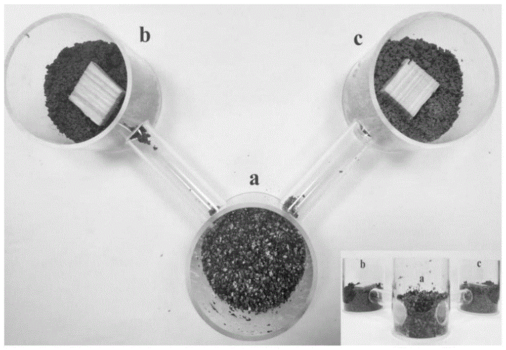 生物质炭在制备白蚁驱避剂中的应用的制作方法