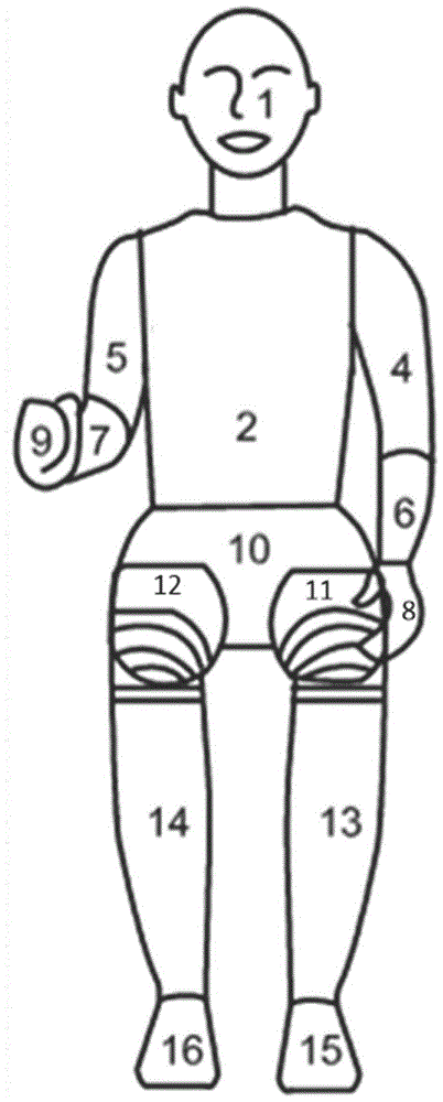 一种用于办公椅压力舒适性测试的假人的制作方法