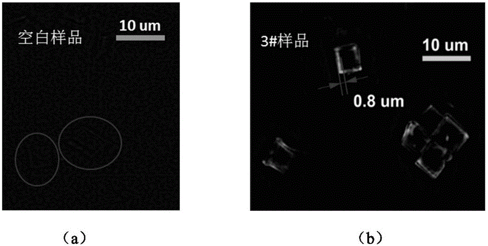 一种表层富集碱性分子的分子筛材料、其制备方法及应用与流程