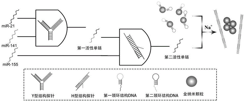 基于金纳米颗粒聚集分散的多重miRNA检测方法与流程