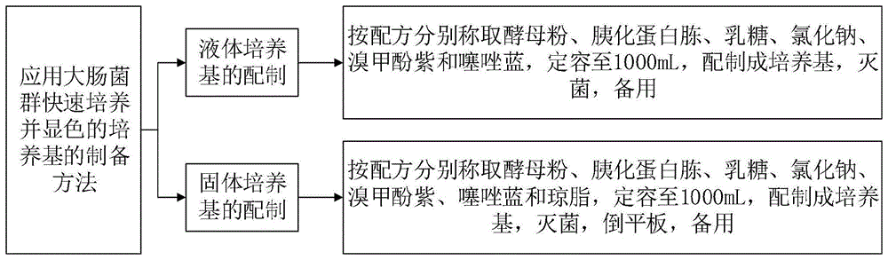 用于大肠菌群快速显示检测的培养基、制备方法及应用与流程