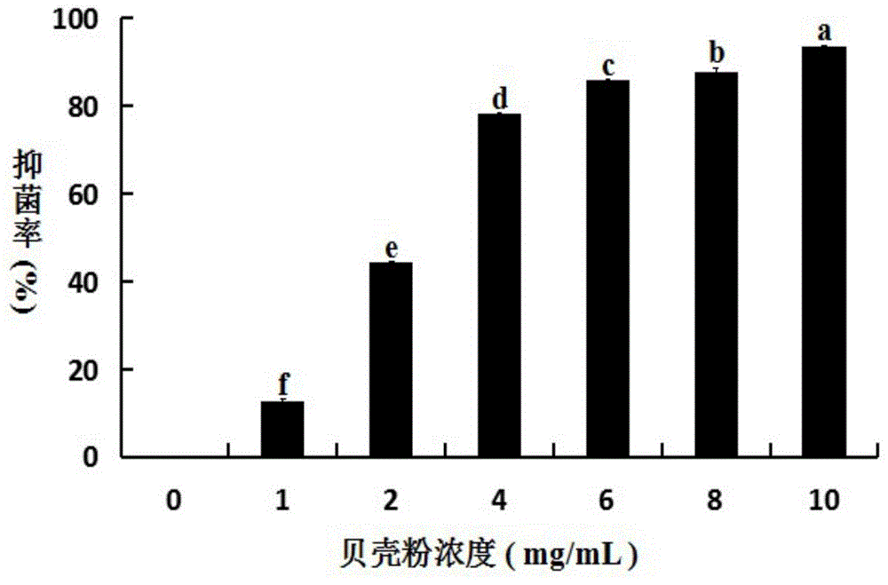 厚壳贻贝的贝壳粉在海洋细菌的抑菌性方面中的应用的制作方法