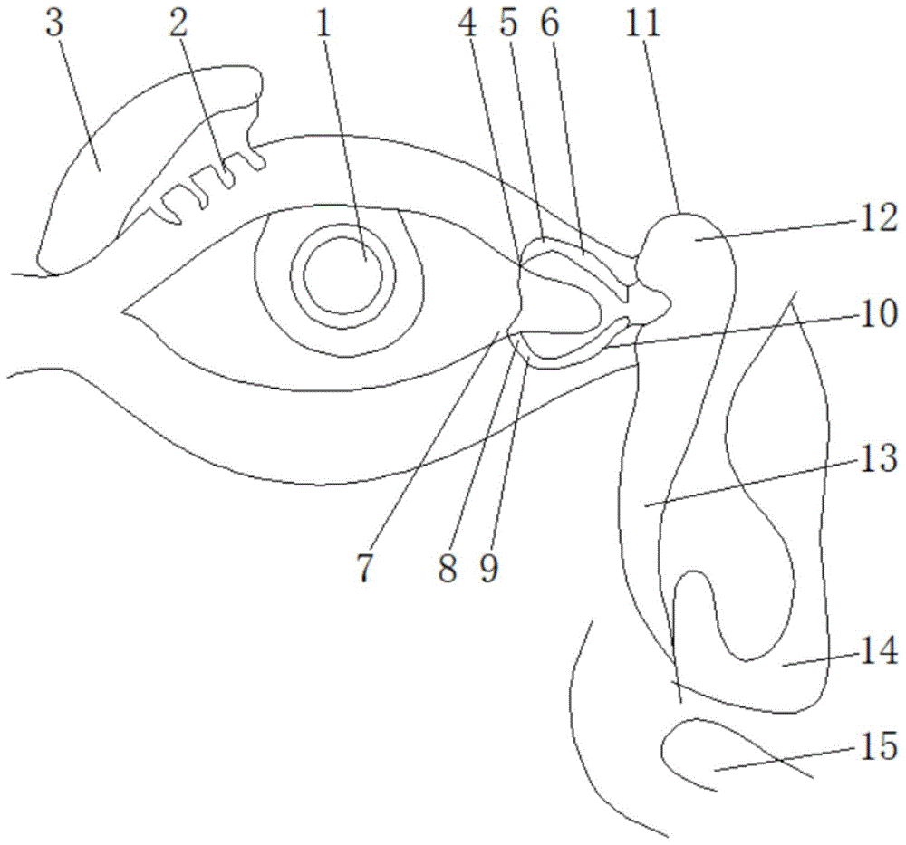 一种手术操作方法与流程