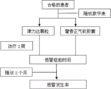 一种中药组合物在制备治疗感冒药物中的应用的制作方法