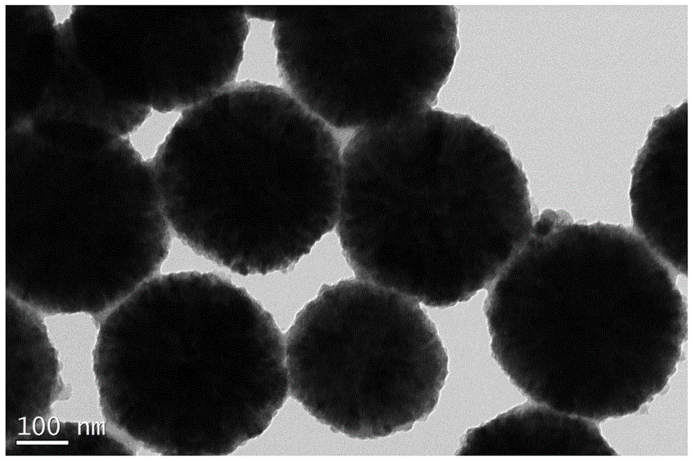 一种花瓣状雌二醇分子印迹磁性纳米材料及其制备方法和应用与流程