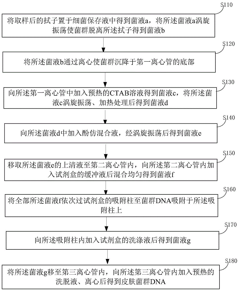 人体皮肤菌群DNA的提取方法与流程