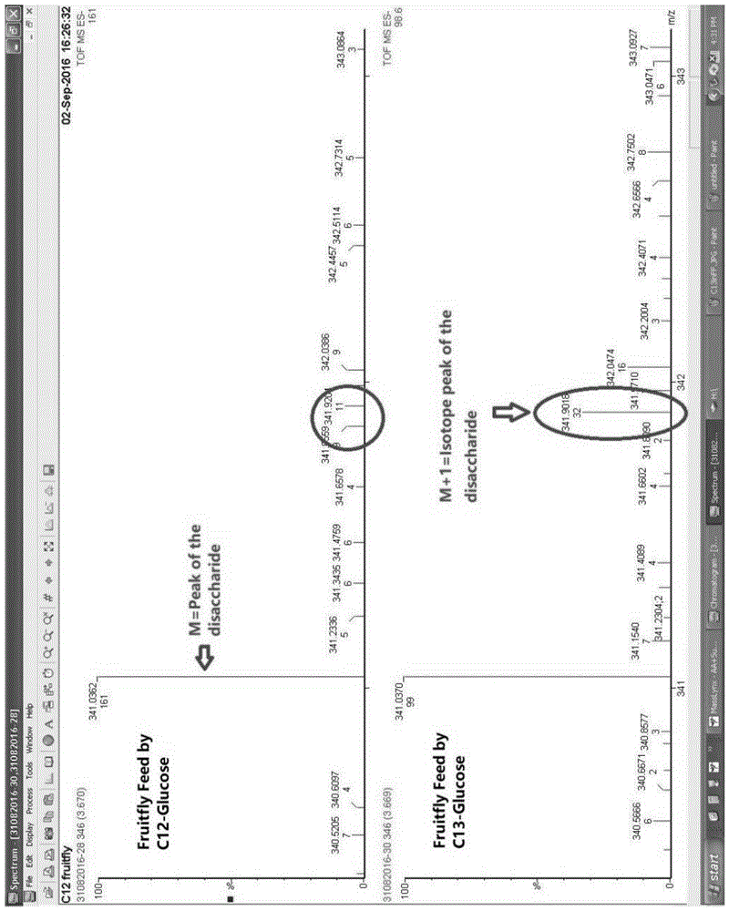 一种产品的主动标记方法及其应用与流程