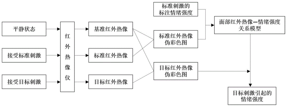 一种基于人体面部红外热像的情绪测量方法与流程