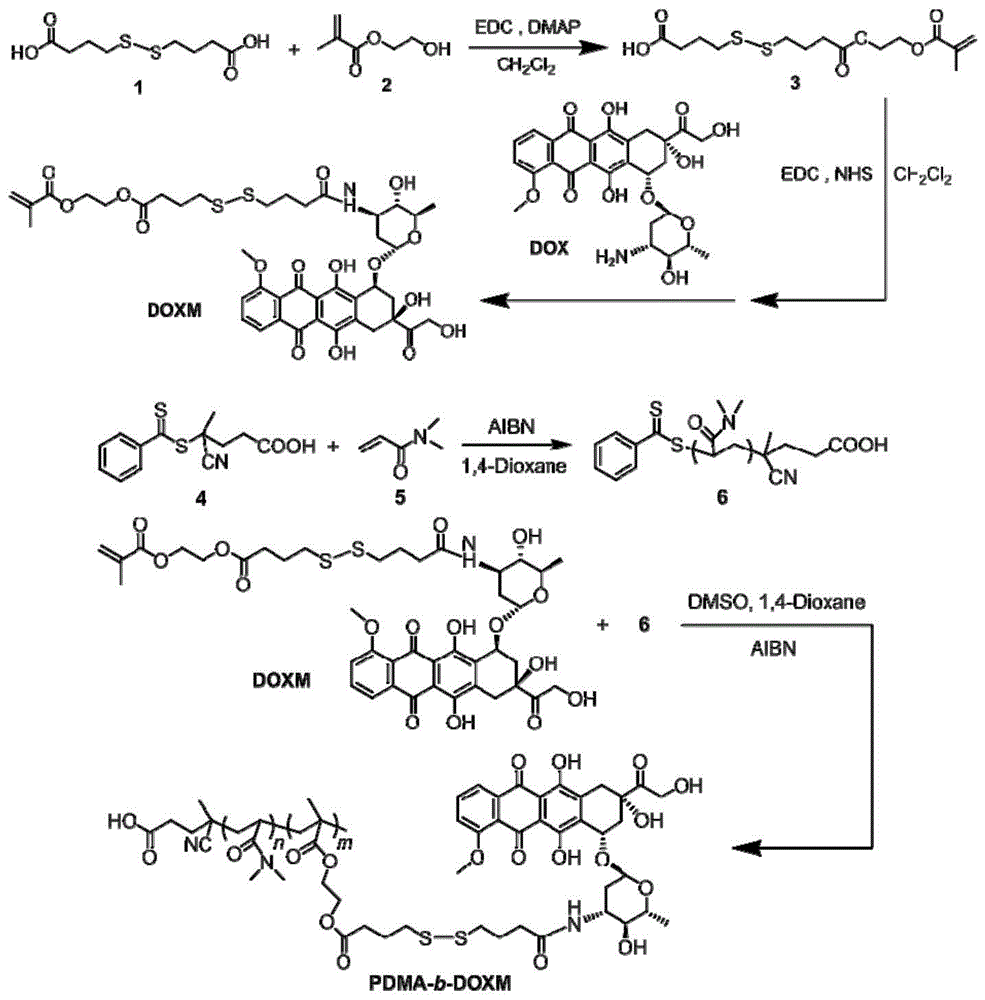 一种具有还原性响应的阿霉素聚前药纳米胶束及其制备方法和应用与流程
