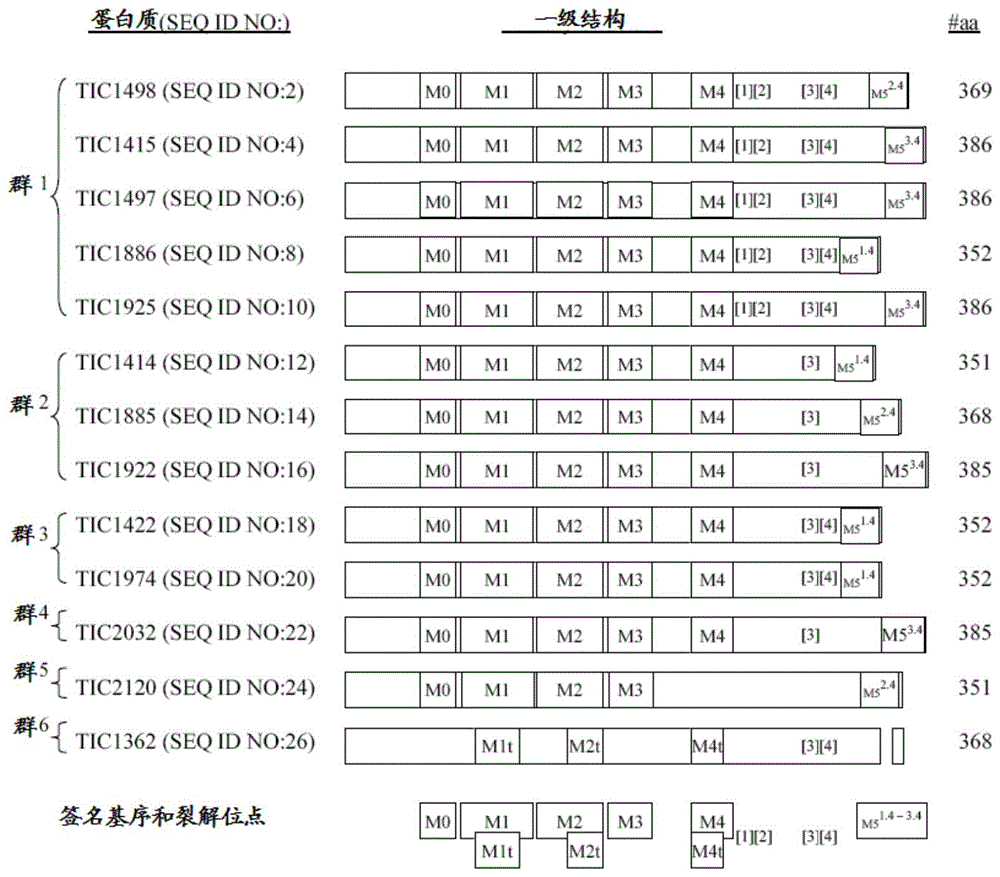 具有对抗半翅目和/或鳞翅目昆虫的活性的昆虫抑制毒素家族的制作方法