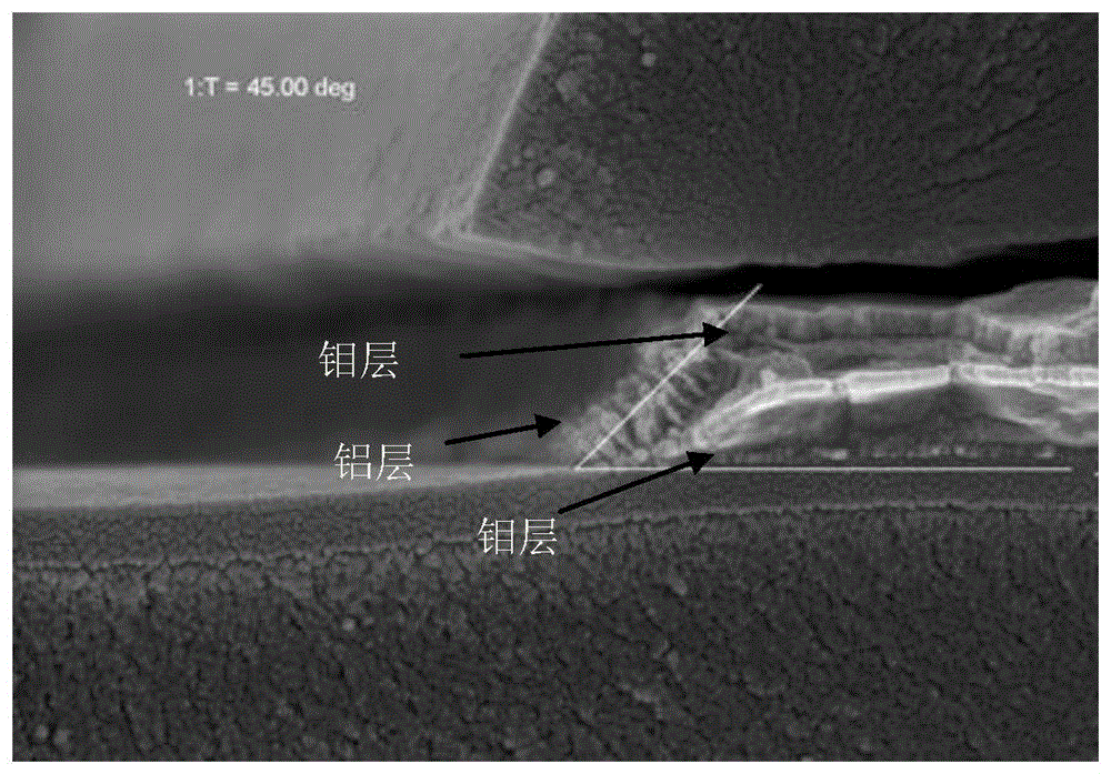 一种钼铝兼容蚀刻液及蚀刻方法与流程